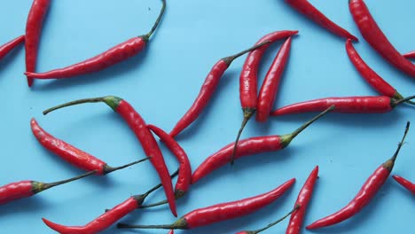Red-chili-pepper-blue-background