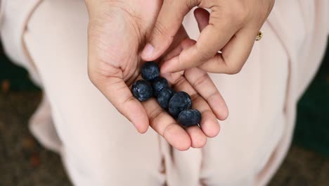 Overhead-view-of-women-eating-blue-berry-,