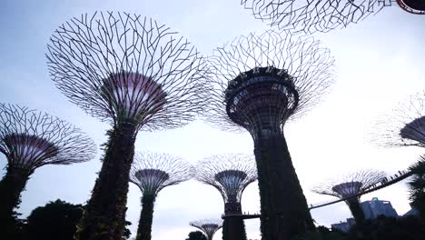 Singapore-10-june-2022-lighting-on-gardens-by-the-bay-at-night-,