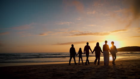 Family,-walk-and-holding-hands-with-silhouette