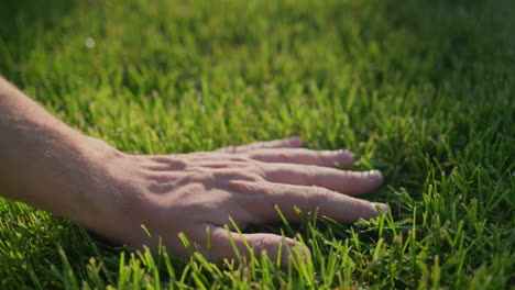 Hand-strokes-evenly-cut-grass-on-the-lawn