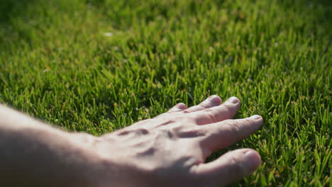 Mit-Handbewegungen-Wird-Das-Gras-Auf-Dem-Rasen-Gleichmäßig-Geschnitten