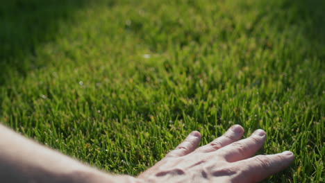 Hand-strokes-evenly-cut-grass-on-the-lawn