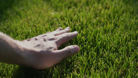 Mit-Handbewegungen-Wird-Das-Gras-Auf-Dem-Rasen-Gleichmäßig-Geschnitten