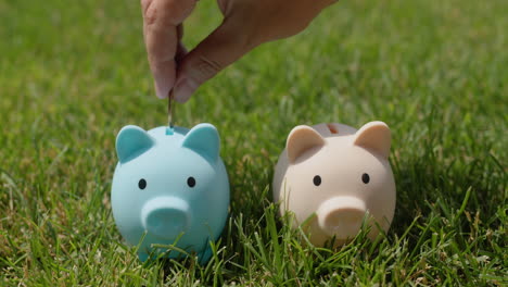 A-hand-puts-coins-in-two-piggy-banks-that-stand-on-green-grass.-Family-budget-concept