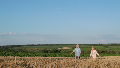 Two-farmers-walk-through-the-picturesque-countryside-along-a-field-of-yellow-wheat