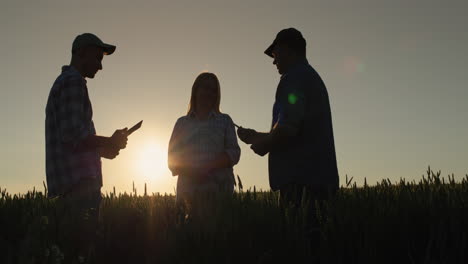 Silhouettes-of-several-farmers-in-the-wheat-field.-Chat-at-sunset