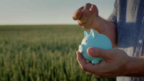 The-farmer-puts-coins-in-a-piggy-bank,-stands-against-the-background-of-a-field-of-still-green-wheat