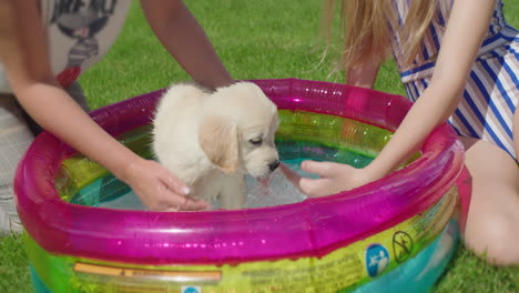 Mom-and-daughter-bathe-a-fluffy-puppy-in-a-small-inflatable-pool