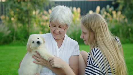 Elderly-lady-with-her-granddaughter-and-a-cute-puppy-in-the-backyard-of-the-house