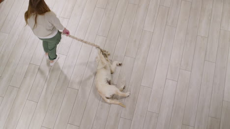 A-child-plays-with-a-puppy---the-dog-catches-a-rope.-View-from-above