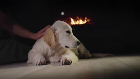 Pet-owner-and-cute-golden-retriever-puppy-resting-near-a-burning-fireplace