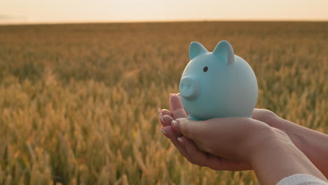 The-farmer-holds-a-piggy-bank-in-his-hands-against-the-background-of-a-field-of-wheat