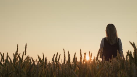 Silhouette-of-a-farmer-woman-standing-in-a-field-of-ripe-wheat-at-sunset.-Back-view
