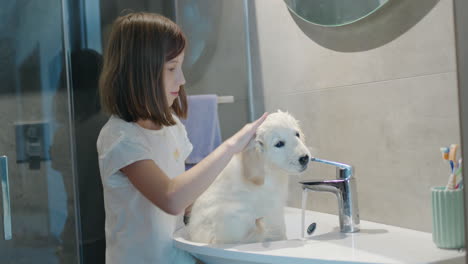 A-girl-washes-a-naughty-puppy-in-a-washbasin
