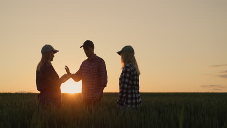 A-group-of-farmers-work-in-the-field-at-sunset,-use-a-tablet,-discuss
