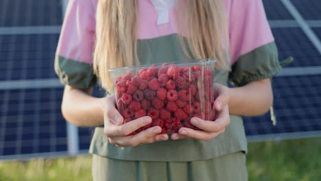 Woman-holds-a-plastic-container-with-fresh-raspberries.-The-panels-of-the-solar-power-plant-can-be-seen-in-the-background