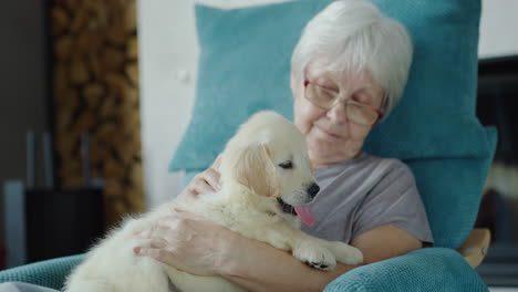 Senior-woman-is-resting-in-a-chair-with-a-puppy-in-her-arms.-Home-comfort-and-secure-old-age