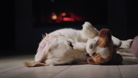 A-funny-dog-plays-with-a-plush-puppy,-lies-on-the-floor-against-the-backdrop-of-a-burning-fireplace.