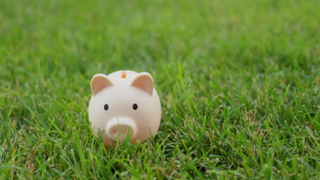 A-man-puts-coins-in-a-piggy-bank-that-stands-on-a-green-lawn