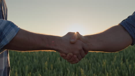 Handshake-of-two-male-hands-of-farmers-against-the-background-of-a-wheat-field-where-the-sun-sets