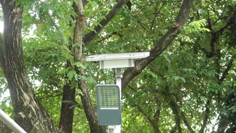 Sonnenkollektoren-Gegen-Baum-Aufgestellt,