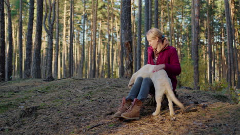 A-middle-aged-woman-walks-with-a-dog-in-a-pine-forest,-sits-under-the-trees.-Cute-golden-retriever-with-her