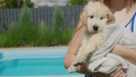 The-child-holds-a-wet-puppy-in-his-hands,-the-dog-is-wrapped-in-a-towel.-Puppy-after-bath