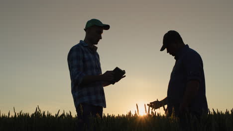 Zwei-Landwirte-Arbeiten-Auf-Dem-Feld,-Kommunizieren-Und-Nutzen-Ein-Tablet.-Technologien-In-Der-Landwirtschaft