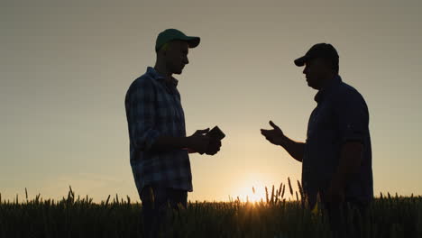 Male-farmers-stand-by-the-wheat-field-at-sunset.-Communicate,-use-the-tablet.