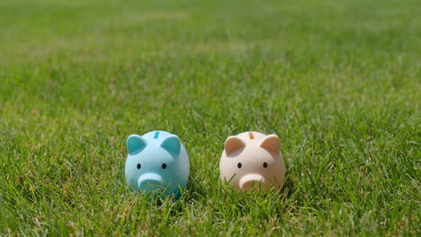 A-hand-puts-coins-in-two-piggy-banks-that-stand-on-green-grass.-Family-budget-concept