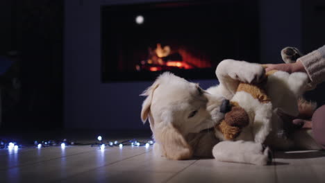 A-woman's-hand-with-a-plush-puppy-plays-with-a-cute-dog-that-lies-near-the-fireplace.-Christmas-Eve