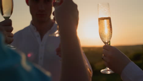 Friends-drink-champagne-against-the-backdrop-of-a-picturesque-valley,-clink-glasses