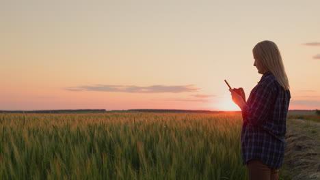A-farmer-woman-stands-against-the-background-of-a-wheat-field-at-sunset,-uses-a-smartphone.
