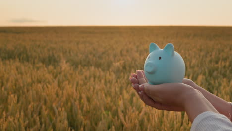 A-woman-holds-a-piggy-bank-against-the-backdrop-of-a-wheat-field-at-sunset.-Investment-in-agriculture