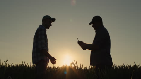 Two-successful-energetic-farmers-shake-hands,-stand-in-a-wheat-field.-Successful-deal-concept