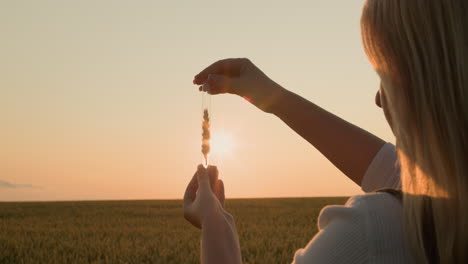 Woman-agronomist-holding-a-flask-with-an-ear-of-wheat-in-front-of-the-sun---breeding-of-new-varieties-concept