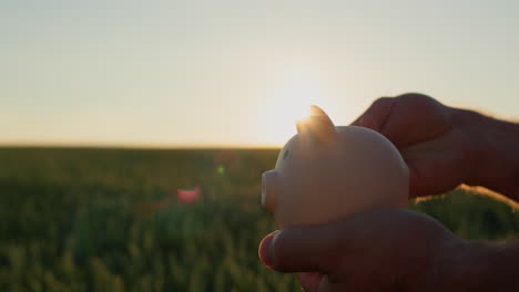 Coins-are-put-into-the-piggy-bank.-Against-the-backdrop-of-a-wheat-field-where-the-sun-sets