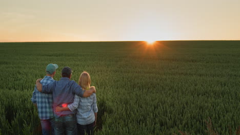 Glückliche-Bauernfamilie,-Die-Den-Sonnenuntergang-über-Einem-Weizenfeld-Bewundert