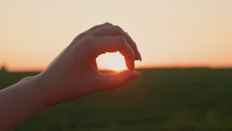 Women's-hands-hold-the-disk-of-the-sun,-which-sets-over-a-field-of-wheat