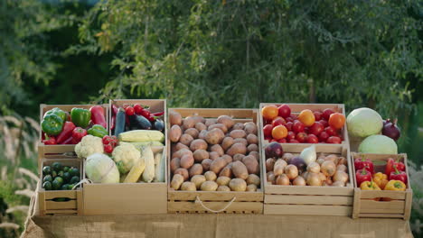 Ein-Schöner-Stand-Mit-Gemüse-Auf-Dem-Bauernmarkt.-Gesunde-Lebensmittel-Von-Lokalen-Bauern