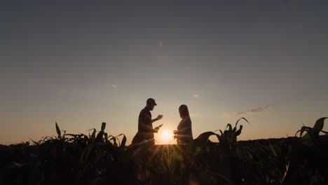 Silhouettes-of-two-farmers-in-a-corn-field.-Working-at-sunset,-using-a-tablet