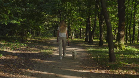 Teenage-girl-walking-with-a-puppy-in-the-park,-rear-view