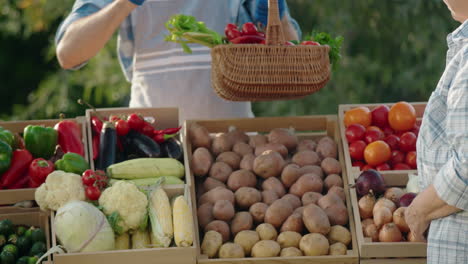The-seller-gives-a-basket-of-vegetables-to-the-buyer's-hands