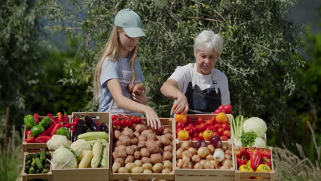 Ein-Junges-Mädchen-Hilft-Ihrer-Großmutter,-Die-Auf-Dem-Bauernmarkt-Gemüse-Verkauft