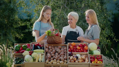 Eine-Bauernfamilie-Am-Tresen-Einer-Landwirtschaftsmesse.-Lokales-Gemüse-Auf-Der-Theke