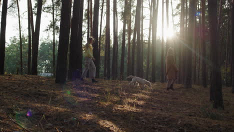 A-woman-with-her-daughter-and-a-dog-walk-through-the-autumn-forest-at-sunset