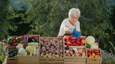 Portrait-of-an-elderly-woman-seller-at-a-farmer's-market.-Standing-behind-a-counter-with-local-vegetables