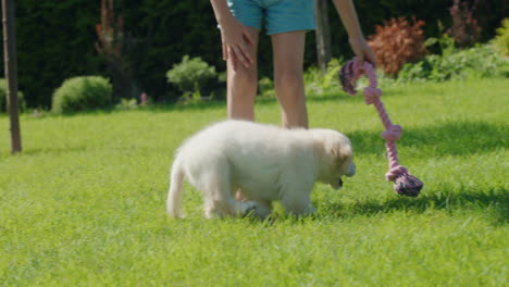 Child-having-fun-with-a-puppy-in-the-backyard-of-the-house,-the-puppy-is-running-after-a-rope