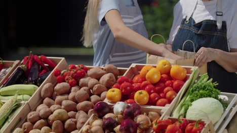 Eine-Frau-Und-Ihre-Enkelin-Verkaufen-Gemüse-Auf-Dem-Markt-–-Sie-Packen-Tomaten-In-Eine-Papiertüte.-Im-Rahmen-Sind-Nur-Hände-Sichtbar